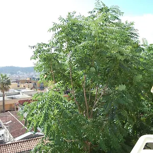 Signorile Cagliari